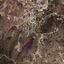 land for sale agios epifanios oreinis nicosia 1007023 thumbnail 5425089