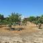 land for sale aradippou larnaca 8839023 thumbnail 17035778