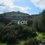 land for sale pachna limassol 8404023 thumbnail 14875721
