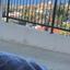 studio apartment for sale peyia paphos 8780023 thumbnail 16637564