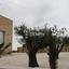 3 bedroom bungalow for sale pano arodes paphos 7813123 thumbnail 15762436