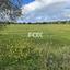land for sale anarita paphos 1270123 thumbnail 5550292