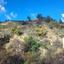 land for sale prodromos limassol 8040123 thumbnail 18382297