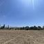 land for sale psevdas larnaca 8716123 thumbnail 16294230
