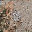 land for sale agios spyridonas limassol 7533223 thumbnail 11221943