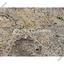 land for sale aradippou larnaca 7549223 thumbnail 12653171
