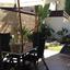 4 bedroom detached house for sale kalo chorio oreinis nicosia 1073323 thumbnail 16246355