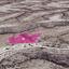 land for sale kato drys larnaca 1650323 thumbnail 5668197