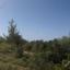 land for sale lysos paphos 1355323 thumbnail 5629816