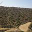 land for sale pissouri limassol 8926323 thumbnail 17615216