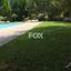 7 bedroom detached house for sale koilani limassol 1146423 thumbnail 6953595