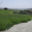 land for sale kato akourdalia paphos 1721423 thumbnail 15597189
