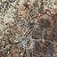 land for sale analiontas nicosia 944523 thumbnail 3005353