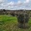 land for sale analiontas nicosia 944523 thumbnail 3005361