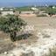 land for sale peyia paphos 1464523 thumbnail 10036743