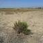 land for sale softades larnaca 7906523 thumbnail 16533762