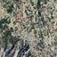 land for sale tsada paphos 927523 thumbnail 15599438