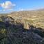land for sale tsada paphos 927523 thumbnail 17227859