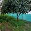 4 bedroom bungalow for sale mosfiloti larnaca 8417623 thumbnail 16560888