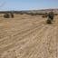 land for sale anglisides larnaca 1145623 thumbnail 15603072