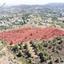land for sale korakou nicosia 8387623 thumbnail 16801398