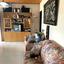 3 bedroom detached house for sale kalo chorio lemesou limassol 7737723 thumbnail 10194031