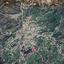 land for sale kaimakli nicosia 8726723 thumbnail 16333531
