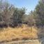 land for sale kaimakli nicosia 8726723 thumbnail 16333533