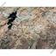 plot for sale kampia nicosia 1578723 thumbnail 14978007