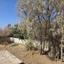 4 bedroom detached house for sale pomos paphos 1354823 thumbnail 7578292
