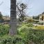 5 bedroom detached house for rent agios andreas nicosia nicosia 8597823 thumbnail 16793619