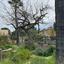 5 bedroom detached house for rent agios andreas nicosia nicosia 8597823 thumbnail 16793724