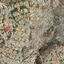 land for sale kamares tala paphos 8913823 thumbnail 17524334