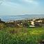 land for sale neo chorio paphos 232823 thumbnail 283239