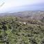 land for sale neo chorio paphos 232823 thumbnail 283241