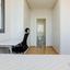 2 bedroom apartment for rent mesa gitonia limassol 8412923 thumbnail 15249876