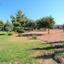3 bedroom detached house for sale aphrodite hills paphos 8529923 thumbnail 15458468