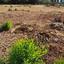 land for sale mouttagiaka limassol 7862923 thumbnail 10896970