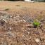 land for sale mouttagiaka limassol 7862923 thumbnail 10896972