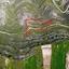 plot for sale pachna limassol 1650923 thumbnail 5679611