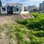 3 bedroom bungalow for sale chlorakas paphos 1643033 thumbnail 12938225