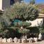 5 bedroom detached house for sale akrounta limassol 922033 thumbnail 15704652