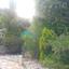 5 bedroom detached house for sale akrounta limassol 922033 thumbnail 15704677