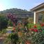 5 bedroom detached house for sale akrounta limassol 922033 thumbnail 15704682