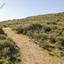 land for sale agios theodoros larnacas larnaca 1029033 thumbnail 15603183