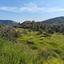 land for sale akrounta limassol 8339033 thumbnail 14358174