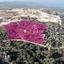 land for sale drousia paphos 8395033 thumbnail 14815511