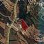 land for sale pano akourdalia paphos 823033 thumbnail 16512125