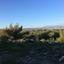 land for sale pissouri limassol 1800033 thumbnail 5993687