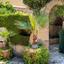 studio building for sale kato paphos paphos 1355033 thumbnail 5617962